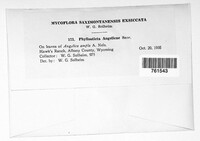 Image Associated With the Occurence